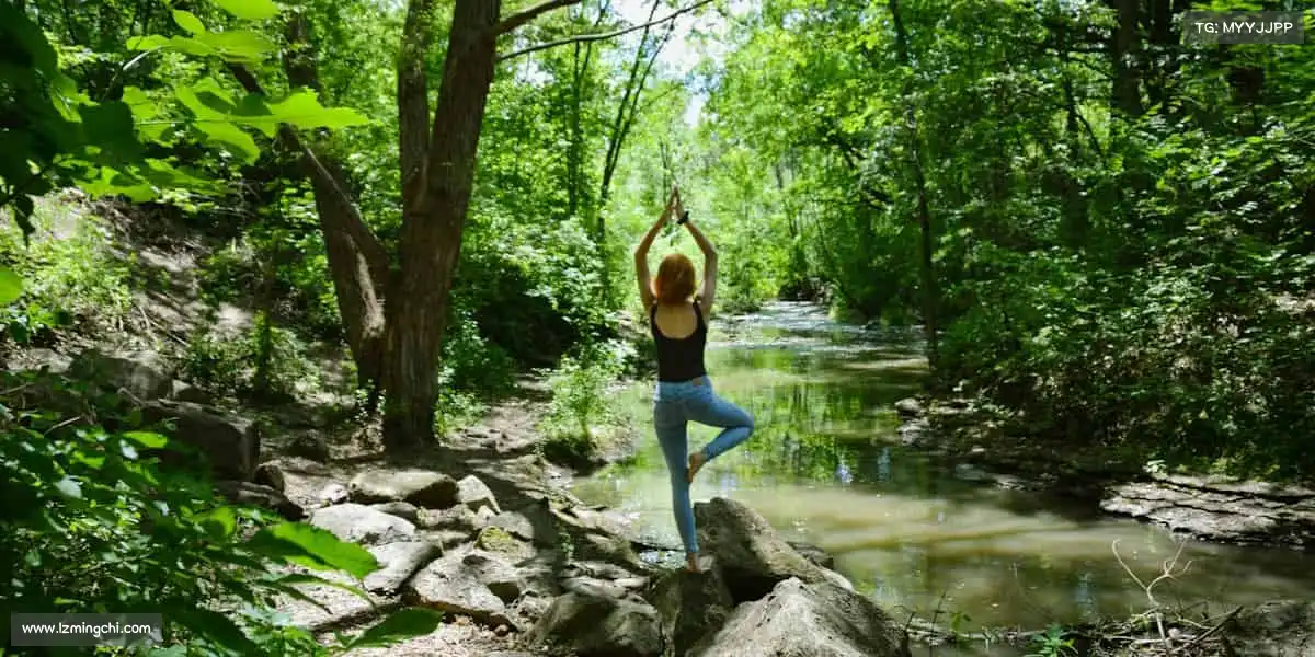 为什么选择我们